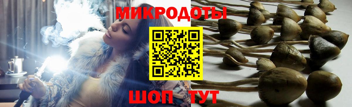 Галлюциногенные грибы Cubensis Симферополь